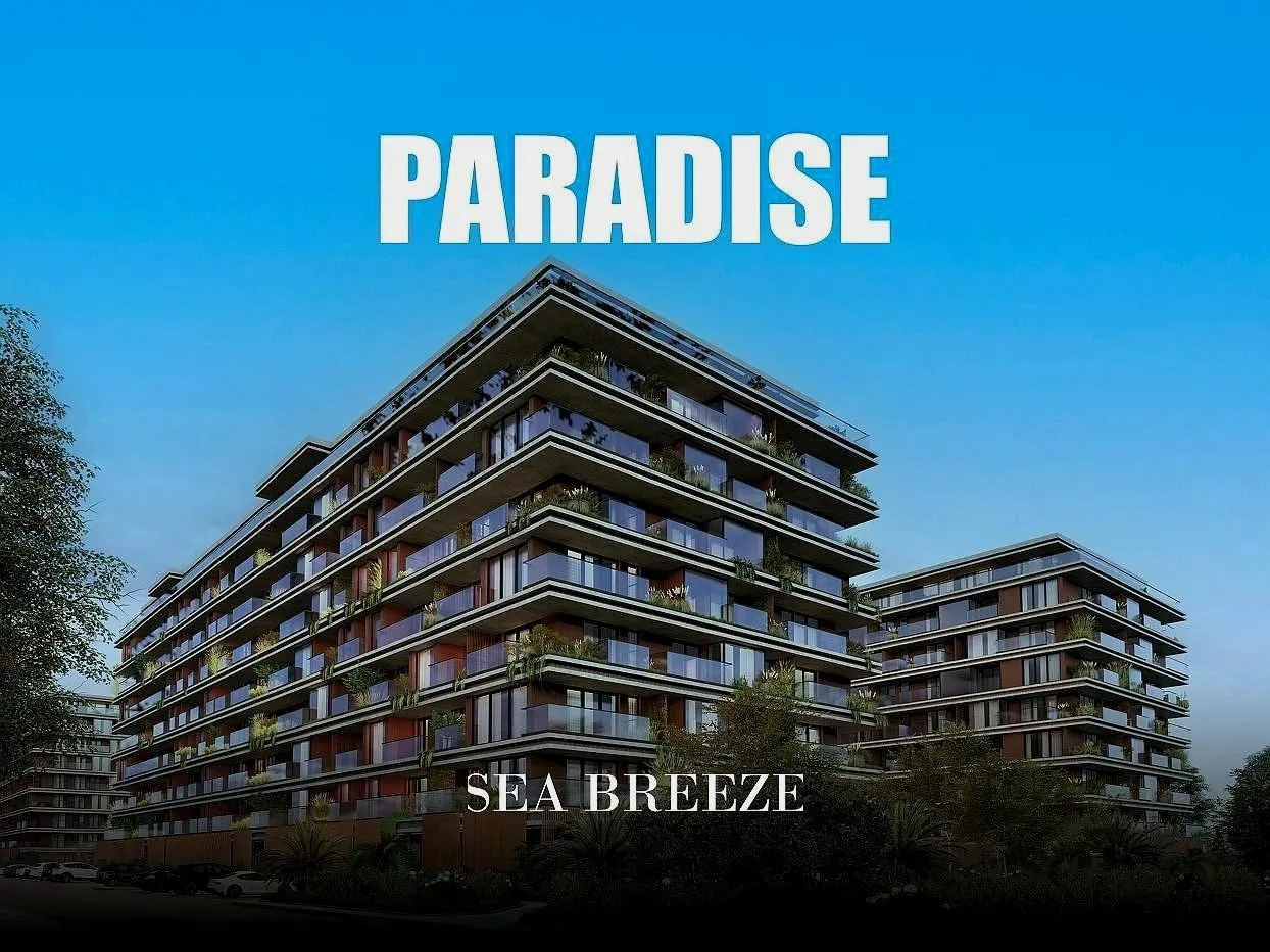 Paradise